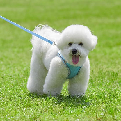 Summer Dog Harness and Leash Set, Soft Dog Vest Harness with Super Breathable Diamond Mesh, Reflective No-Pull Pet Harness for Outdoor Walking, Training for Small Dogs, Cats Blue XXS