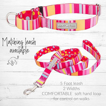 Lucky Love Dog Martingale Dog Collar & Leash - Adjustable, No-Slip, Durable, Comfortable, Soft Webbing, & Stylish Patterned Collar & Leash Set for Male and Female Dogs - Molly Combo, Small