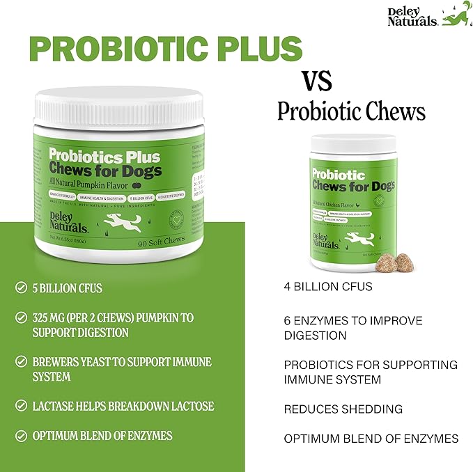 Deley Naturals Probiotics Plus Chews for Dogs - Gut Health Supplement with 5 Billion CFU's & Digestive Enzymes - Prebiotics for Dog Allergies, Diarrhea & Yeast - 90 Count Pumpkin Flavor Made in USA