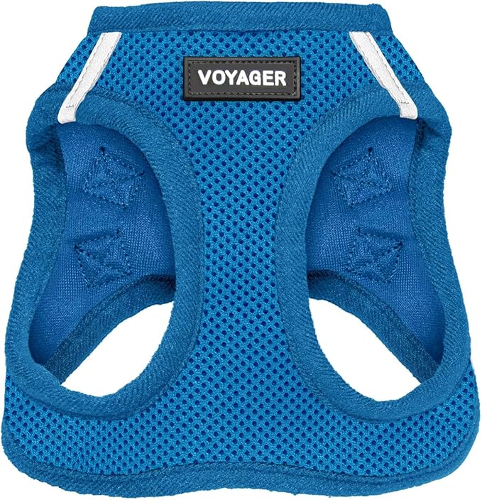 Best Pet Supplies Voyager Step-in Air Harness - All Weather Mesh, Reflective, No Pull Harness for Dogs, Cats - Secure with Hook & Loop Fastener, Buckle, Double D-Rings - Royal Blue, XXXS