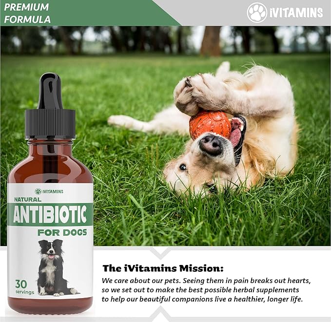 Natural Dog Antibiotics - Antibiotics for Dogs - Yeast Infection Treatment for Dogs - Dog Yeast Infection Treatment - Itch Relief - 1 fl oz - Bacon Flavor