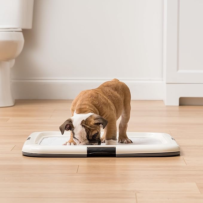 IRIS USA Pee Pad Holder for Dogs and Puppies, Potty Training Tray with Secured Latches, Non-Skid Feet, Leak Protection, Easy Clean Surface, Fits 22"x 22" Puppy Pads Size or Larger, Dark Gray