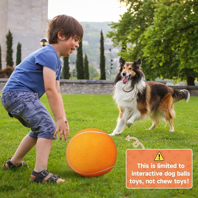 QDAN Large Tennis Ball for Dogs: Pet Toys 9.5" Giant Outdoor Dog Balls - Interactive Herding Ball for Medium Big Dogs Birthday Toys Indoor Playing Training- Orange