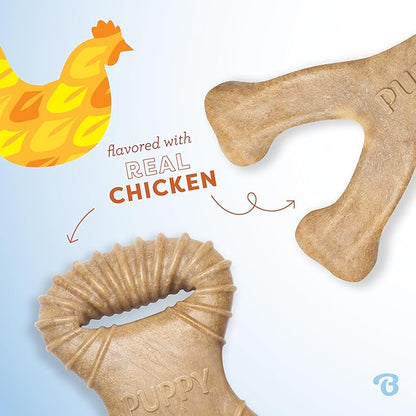 Benebone Puppy 2-Pack Dental Chew/Wishbone Real Chicken Small