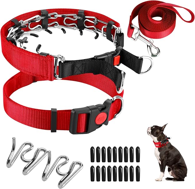 Prong Training Collar with Comfort Tips and Quick Release - Dog Choke Pinch Collar with Nylon Cover - Classic Collar and Leash for Small to Large Dogs
