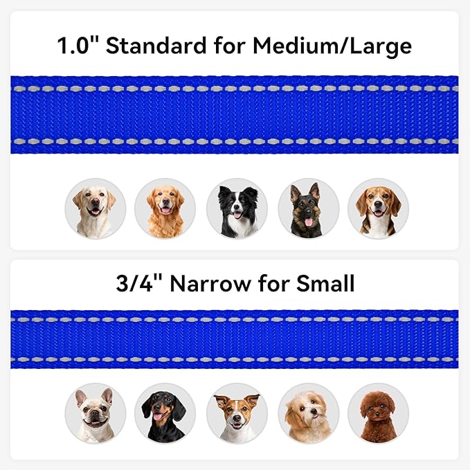 Joytale Dog Leash, 6 FT Double-Sided Reflective, Padded Handle Nylon Heavy Duty Leashes for Small Dogs Walking, Navy Blue