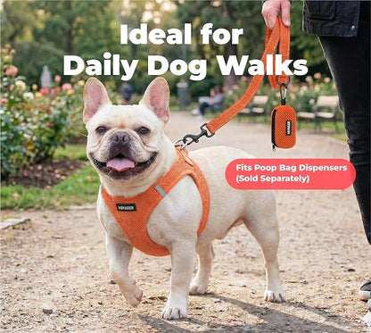 Best Pet Supplies Voyager Reflective Dog Leash or Collar with Neoprene Handle, for Small, Medium, and Large Breed Puppies, Cute and Heavy Duty for Walking, Running and Training - Orange (Leash), M