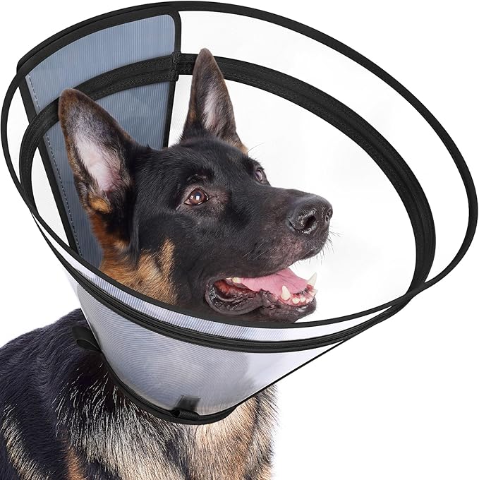Dog Cone to Stop Licking, Clear Recovery Collar with Detachable Zipper, Sturdy Elizabethan Collar for Large Medium Small Dogs, Soft Adjustable Cone After Surgery Patented, Black M