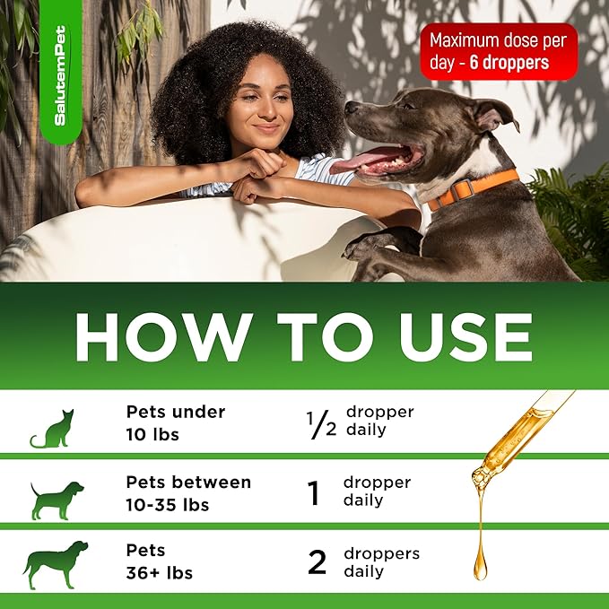Kennel Cough Medicine for Dogs & Cats – Kennel Cough Treatment Helps with Allergies & Sneezing – Herbal Supplement with Mullein Leaf, Angelica Root, Calendula Breeds – 2 Oz