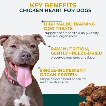 Momentum Carnivore Nutrition Freeze-Dried Chicken Heart Dog Treats & Cat Treats – Single-Ingredient, High-Protein, Grain-Free, Naturally Nutrient-Rich – Made in USA – 3.5 oz Bag