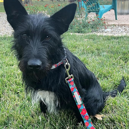Lucky Love Dog - Easy Click Noel Dog Collar with Leash Set Combo, Durable & Comfortable for Male & Female Dogs, Pet Collar for Medium Dogs, Secure Fit - Noel Combo, Medium