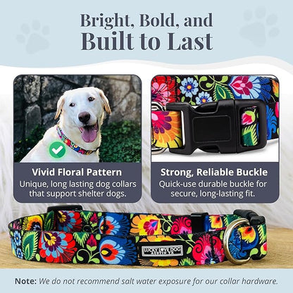 Lucky Love Dog - Adjustable Dog Collar with Easy Click Buckle for Large Ones, Durable, & Comfortable for Male & Female Dogs, Pet Collar for Puppies & Adult Dogs - Blackbird, Large