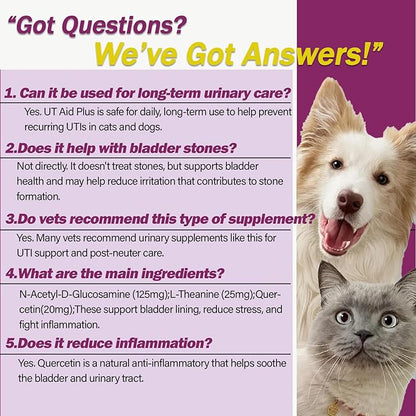 Natural UTI Treatment for Cats & Dogs – Antibiotic-Free Urinary Tract Infection Support Supplement – Bladder & Kidney Health – Incontinence Prevention – 30 Capsules