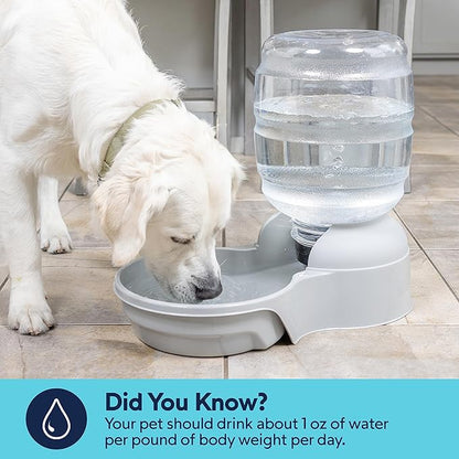 Petmate Aspen Pet Lebistro Cat and Dog Water Dispenser, Made in USA