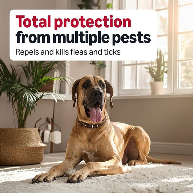 Amazon Basics Preventative Flea and Tick Topical Treatment for Dogs, X-Large (89-132 lbs), Fast Acting and Long Lasting, 6 Counts, Packaging May Vary