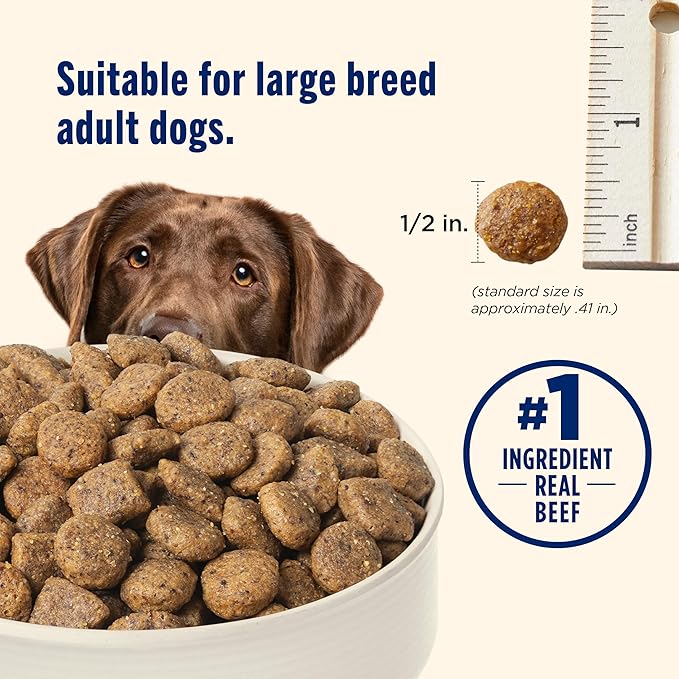 Nutrish Large Breed Real Beef, Pea, Carrot & Brown Rice Recipe Whole Health Blend Dry Dog Food, 40 lb. Bag (Rachael Ray)