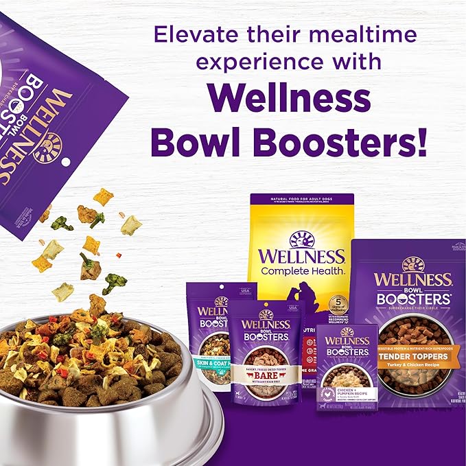 Wellness Complete Health Adult Dry Dog Food, Wholesome Grain Kibble, Natural, Beef and Barley Recipe, 26 lb Bag