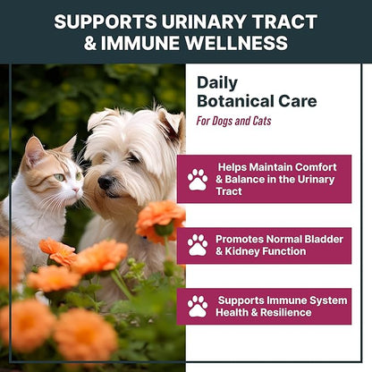 MaxBuddy Natural UTI Treatment Support - Cranberry Urinary Tract Infection Care & Prevention Assistance for Cats and Dogs – Kidney & Bladder Wellness Supplement Drops - Support for Urine Flow