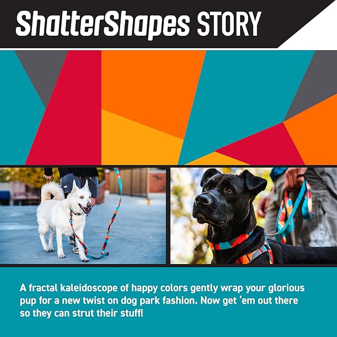 Wolfgang Heavy Duty Dog Leash, Pull-Tested to Over 800 lbs for Walking & Training, ShatterShapes Print, Large