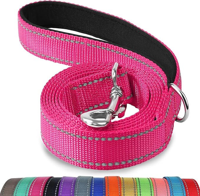 Joytale Dog Leash, 5 FT Double-Sided Reflective, Padded Handle Nylon Heavy Duty Leashes for Medium & Large Dogs Walking, Hotpink