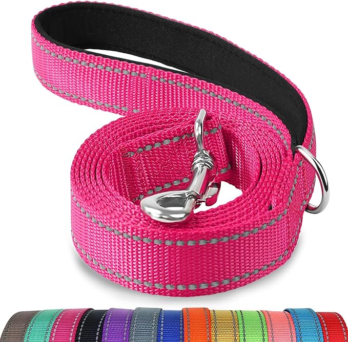 Joytale Dog Leash, 5 FT Double-Sided Reflective, Padded Handle Nylon Heavy Duty Leashes for Small Dogs Walking, Hotpink