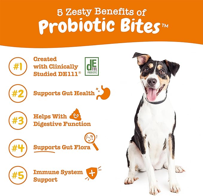Zesty Paws Probiotics for Dogs, Digestive Enzymes Gut Flora, Digestive Health, Diarrhea & Bowel Support, DE111, Dog Probiotic Soft Chew for Pet Immune System, Pumpkin, 250 Ct