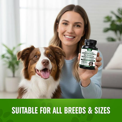 Liver Support Supplement for Large Dogs with Silymarin (Same & Silybin) S-Adenosyl-L-methionine (SAM-e) & Silybum (Milk Thistle) Dog Liver Supplement - 3rd Party Tested, Non GMO - 30 Chewable Tablets