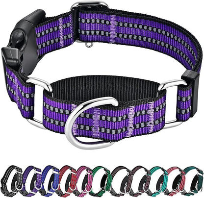 Hikiko Martingale Collar for Dogs Reflective Nylon Dog Collar with Quick Release Buckle Adjustable Training No Slip Dog Collar (Large, Purple)