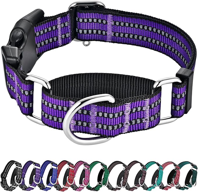 Hikiko Martingale Collar for Dogs Reflective Nylon Dog Collar with Quick Release Buckle Adjustable Training No Slip Dog Collar (X-Large, Purple)