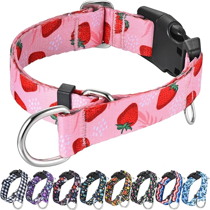 Martingale Collar for Dogs with Buckle Nylon Limited Slip No Pull Training Dog Collars (Pink Strawberry, XLarge)