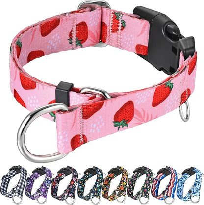 Martingale Collar for Dogs with Buckle Nylon Limited Slip No Pull Training Dog Collars (Pink Strawberry, XSmall)