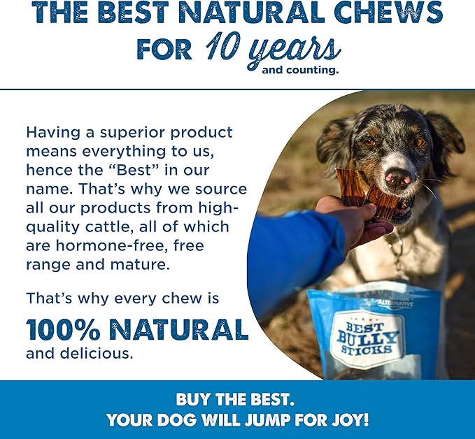 6-inch Joint Jerky Dog Treats by Best Bully Sticks (25 Pack) All Natural Beef Dog Treats