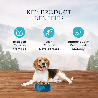 Blue Buffalo Wilderness High Protein, Natural Adult Healthy Weight Dry Dog Food, Chicken 4.5-lb