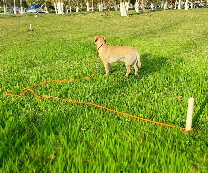 Tie Out Rope Dog Leash, 15-20-30-50-65 FT Heavy Duty Nylon Check Cord for Medium Large Dogs Indoor/Outdoor Playing Camping Backyard (Orange, 3/8" x 30ft)