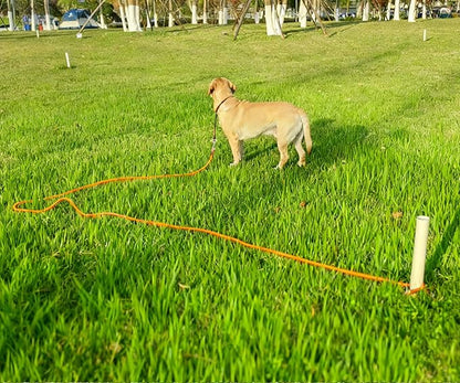 15FT Tie Out Rope Dog Lead, 20ft 30ft 50ft 65ft Long Dog Tether Nylon Check Cord for Medium Large Dogs Outdoor Camping Backyard of Leash Training Tie Down (Orange, 3/8")