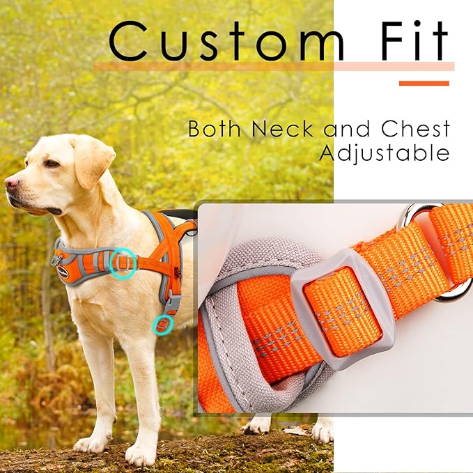 ADVENTUREMORE Small Dog Harness (Orange), No Pull Reflective Breathable Vest with Easy Control Handle, Escape Proof for Training Walking