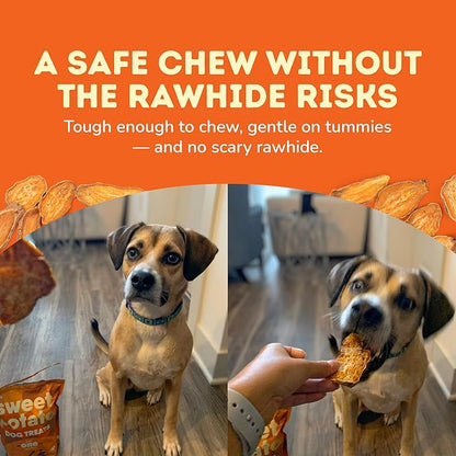 Davie's Sweet Potato Dog Treats - Healthy Dog Chews, Low Fat, Made in USA, 1 lb Bag - Pack of 5