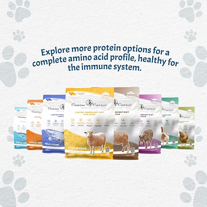 Canine Caviar - Small Breed: Chicken & Whole Ground Oats, Alkaline Dry Dog Food, Limited Ingredients, Gluten-Free, Based on Science & Research, Veterinary Alternative Diet (22 Pound Bag)