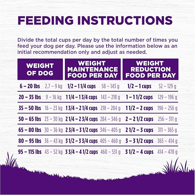 Wellness Complete Health Dry Dog Food, Wholesome Grains, Natural, Healthy Weight Chicken & Peas Recipe, (13-Pound Bag)