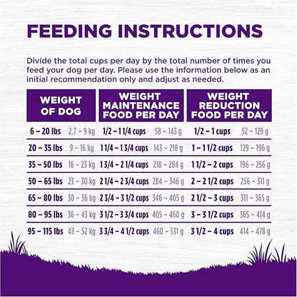 Wellness Complete Health Dry Dog Food, Wholesome Grains, Natural, Healthy Weight Chicken & Peas Recipe, (13-Pound Bag)