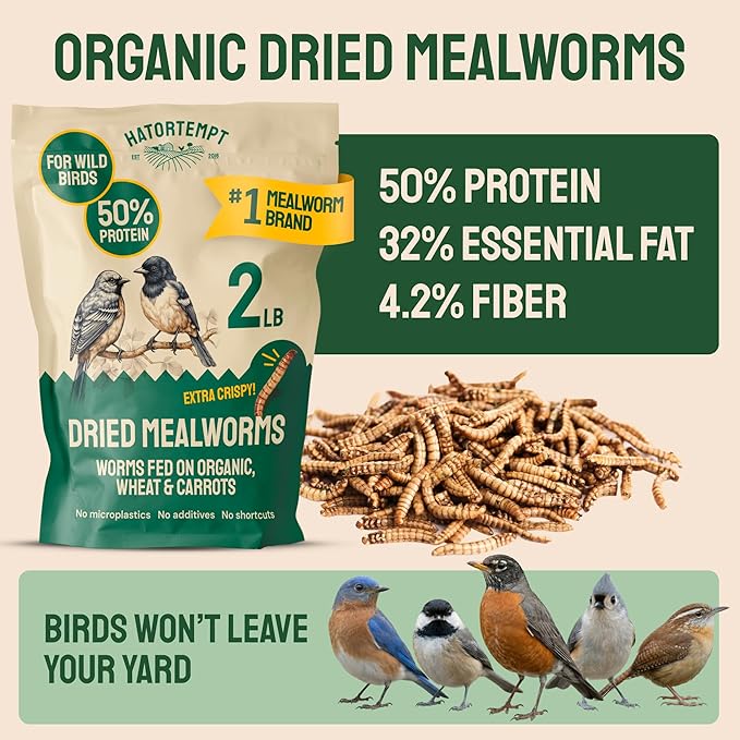 Hatortempt 2lb Dried Mealworms for Chickens - 50% Protein and 32% Essential Fats to Support Healthy Feather Growth During Molt - Organic Treats for Chickens, Ducks, Wild Birds & Reptiles
