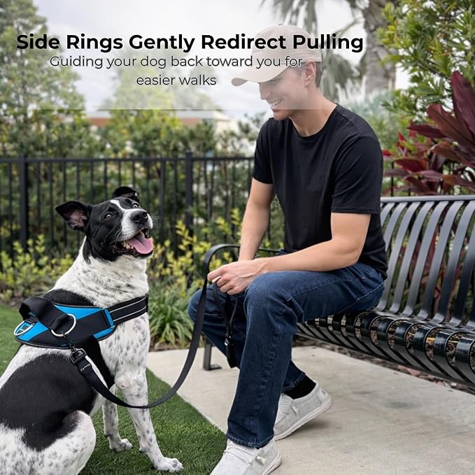 ShawnCo Essential Dog Harness, No-Pull Pet Vest with 3 Leash Clips, No Choke, Reflective, Adjustable and Padded, for Easy Walking and Training for Small, Medium and Large Dogs (Rose Gold, L)