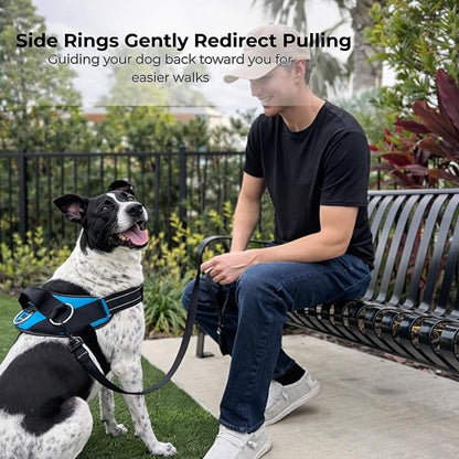 ShawnCo Essential Dog Harness, No-Pull Pet Vest with 3 Leash Clips, No Choke, Reflective, Adjustable and Padded, for Easy Walking and Training for Small, Medium and Large Dogs (Rose Gold, L)