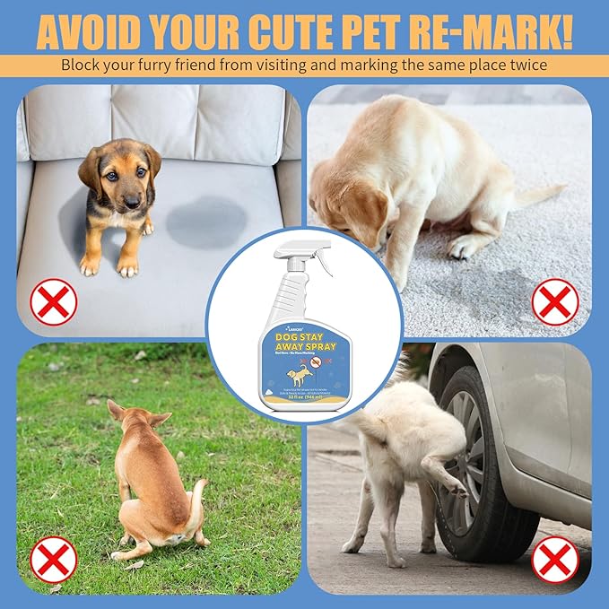 32 Oz Training Aid to Discourage Indoor Dog Urination | Effective Training Spray for Dogs to Stop Unwanted Marking and Messy Urination