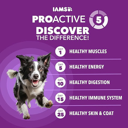 IAMS Advanced Health Mobility Support, Dry Dog Food, Chicken & Whole Grain, Adult Dog Food Dry Recipe, 13.5 lb. Bag