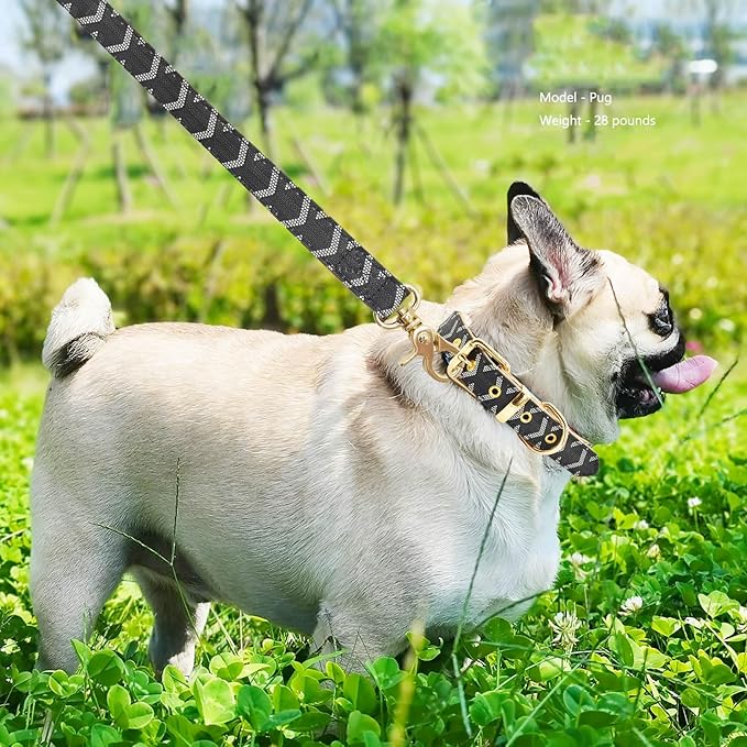 Leather Dog Collar and Leash Set, Check Pattern Dog Collar Leashes Metal Buckle Adjustable Durable for Small Medium Large Dogs (Black, XL(18-22IN))