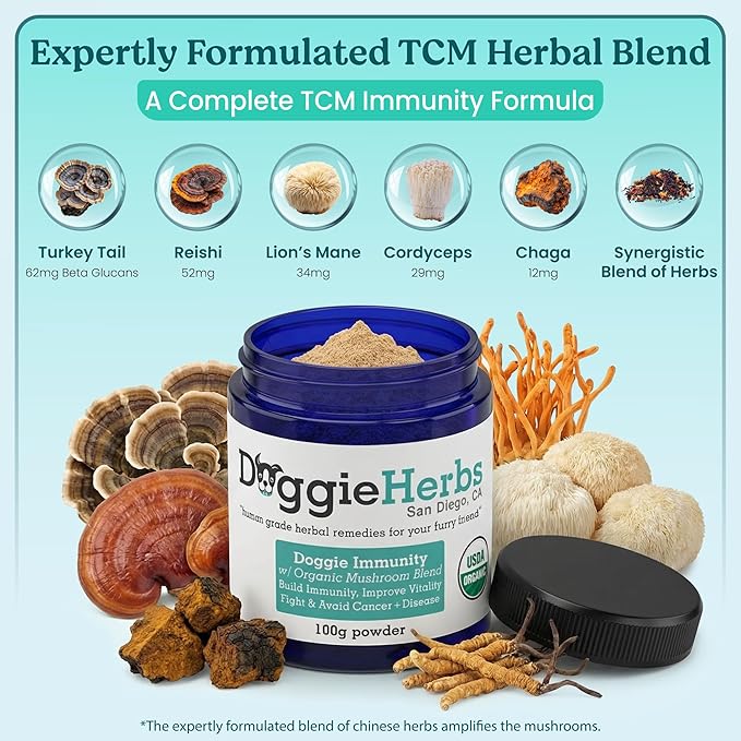High Potency Immune Support – Critical Care Formula with Turkey Tail, Reishi & TCM Mushrooms + Herbs – Doctor Formulated Powder for Recovery, Vitality & Cellular Health 100g
