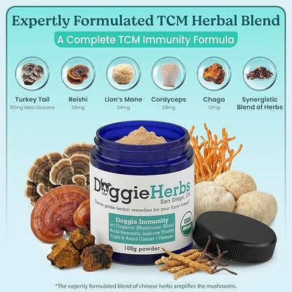 High Potency Immune Support – Critical Care Formula with Turkey Tail, Reishi & TCM Mushrooms + Herbs – Doctor Formulated Powder for Recovery, Vitality & Cellular Health 100g