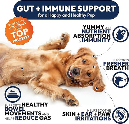 (2 Pack) Probiotics for Dogs - 340 Dog Probiotics Chews - Digestive Enzymes & Prebiotics - Support Gut Health, Diarrhea, Gas & Constipation Relief - Itchy Skin, Allergies - Advanced Supplement