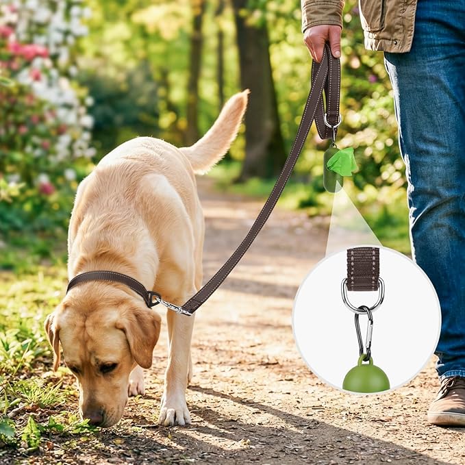 Joytale Double-Sided Reflective Dog Leash, 6 FT/5 FT/4 FT, Padded Handle Nylon Heavy Duty Leashes for Small & Medium Dogs Walking, Brown, 5FT